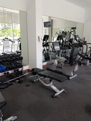 Oasis @ Elias (D18), Condominium #485700931